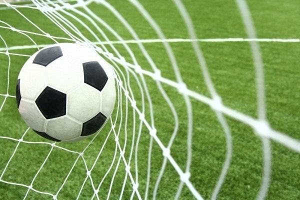 Soccer Ball in Net