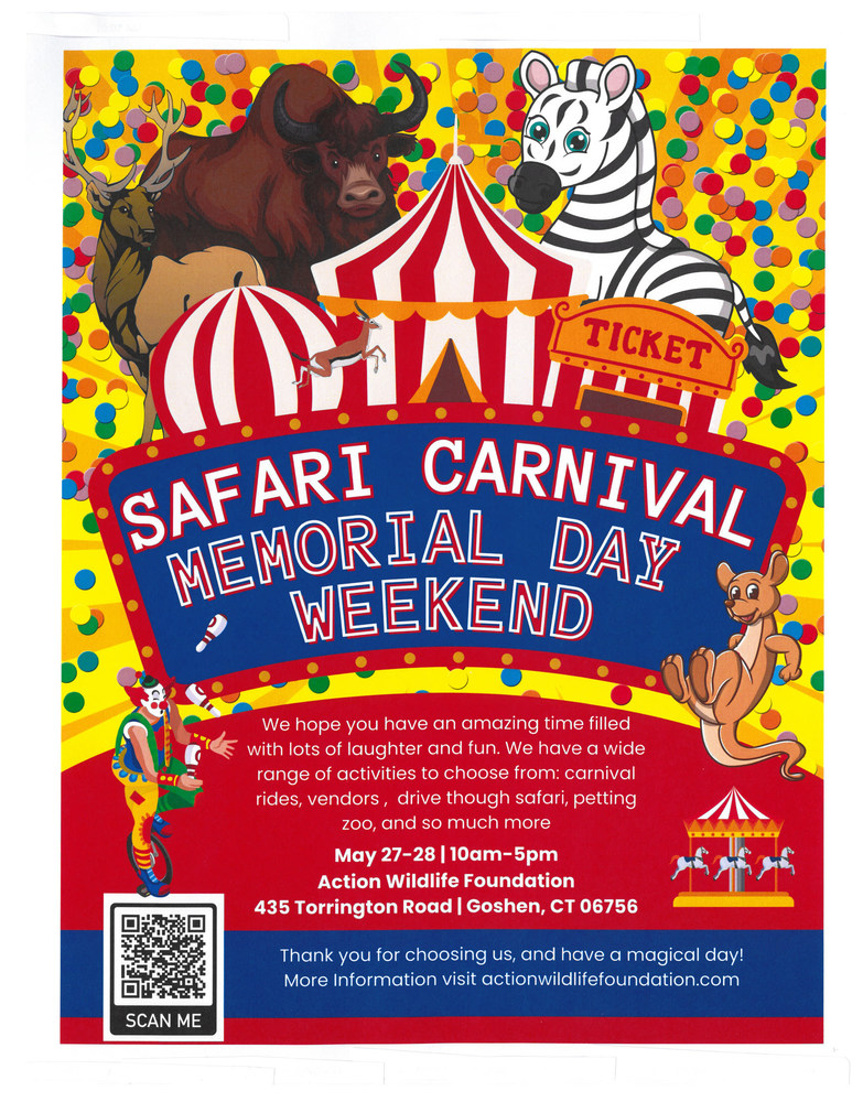 Safari Carnival Flyer