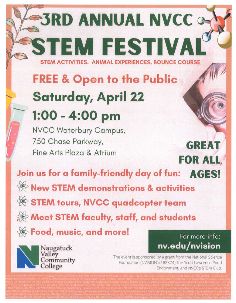 STEM Festival Flyer