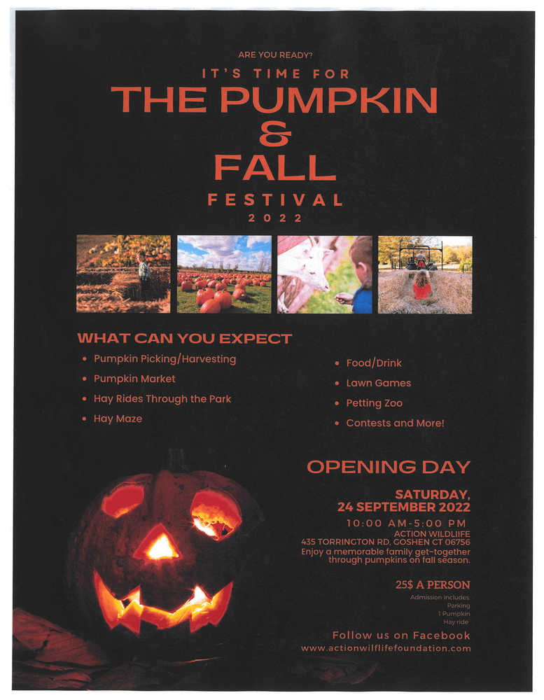 Pumpkin Festival Flyer