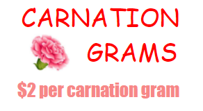 Carnation Grams