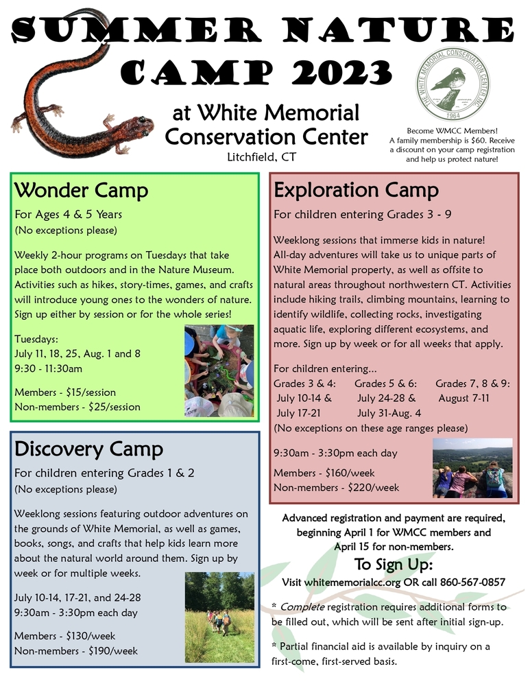 White Memorial Summer Camp Flyer 