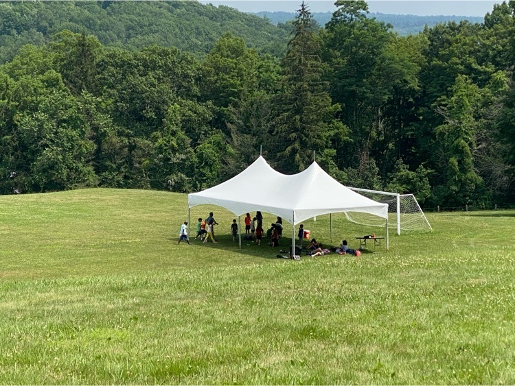 tent in a field 