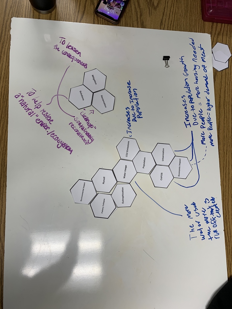 Environmental Science students use hexagonal thinking strategies to make connections. 