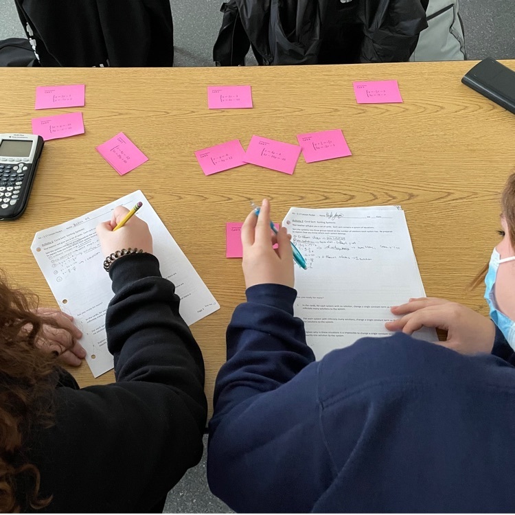 Students in Algebra 1 engaged in a card sort activity involving systems of linear equations. 