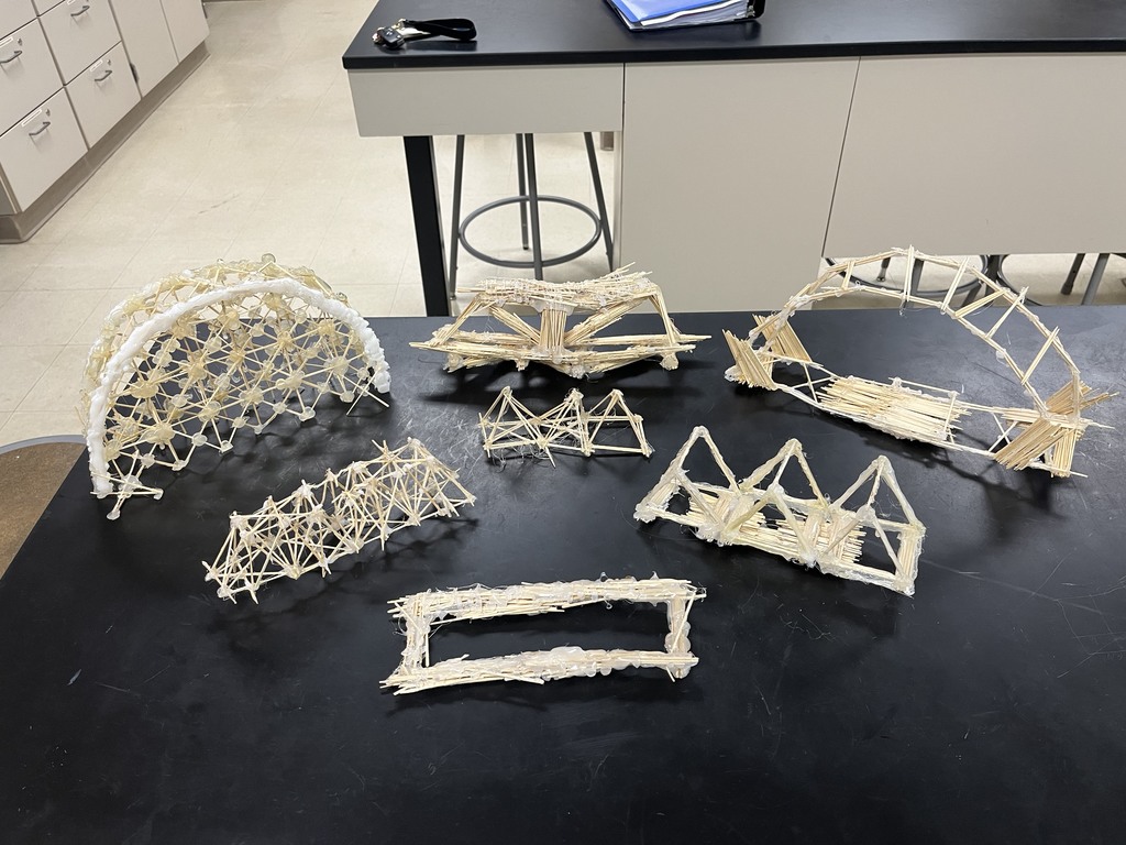 The Physics class put their knowledge of forces, tension, compression, and trigonometry to the test with the design and construction of toothpick bridges.  The winning bridge held 12 kilograms! (26.4 lbs)
